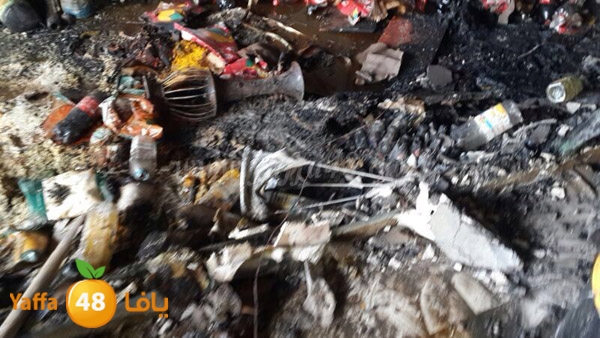 zahrat afra7 lud 0516 (3).JPG